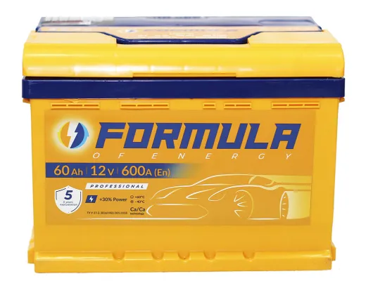 Formula 6-ст 60 Professional