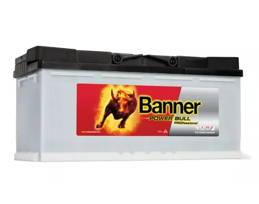 Banner PROFESSIONAL PRO P100 40 12v 100Ah 820A