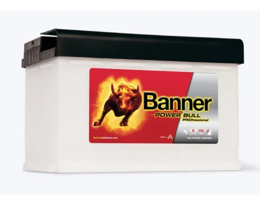 Banner Professional PRO P77 40 77Ah 680A