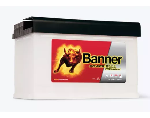 Banner Professional PRO P77 40 77Ah 680A