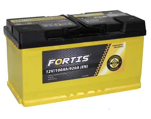 Fortis 100Ah 920A правый плюс