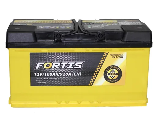 Fortis 100Ah 920A правый плюс