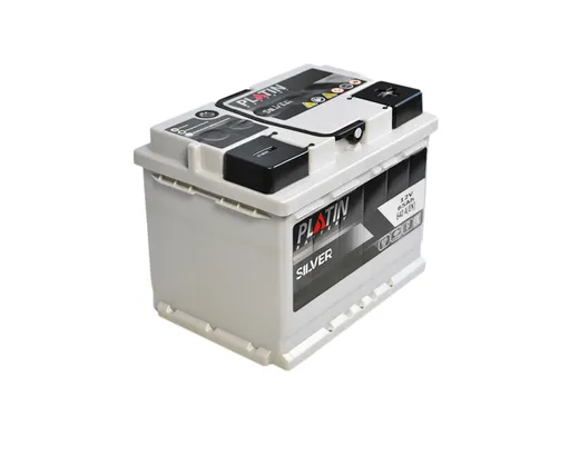 PLATIN Silver MF  65Ah 640A R+ (L2)