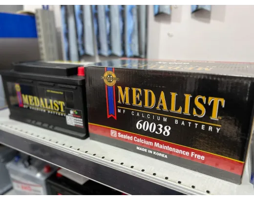 Medalist 60038 100Ah 850A