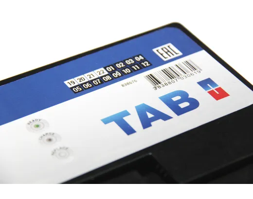 TAB Polar S Euro Japan 95Ач 12В (246895)