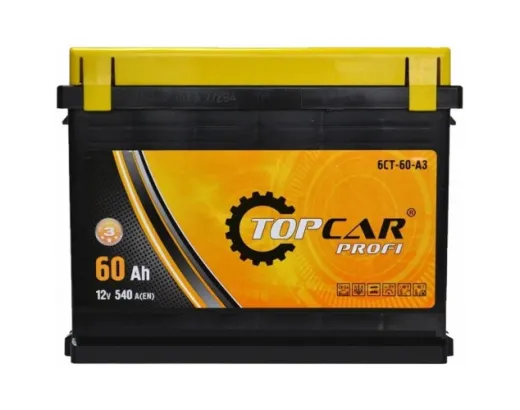 Top Car 6-CT 60Ah Profi (1)