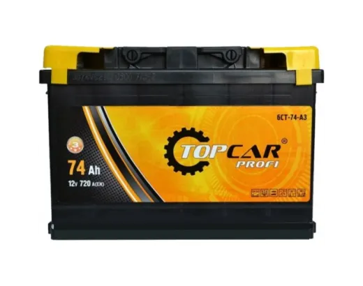 Top Car 6-CT 74Ah Profi
