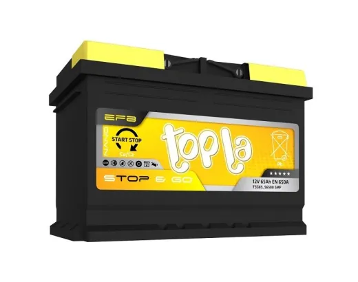 Topla EFB 6CT-65 АзЕ (112 065)