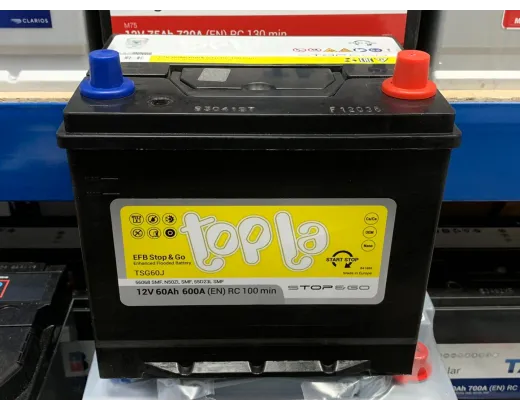 Topla EFB 6CT-60 АзЕ (112 260)