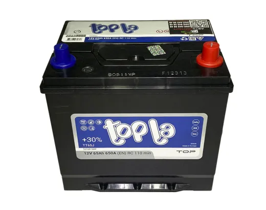 Topla Top Energy Japan 6CT-65 АзЕ (118665)