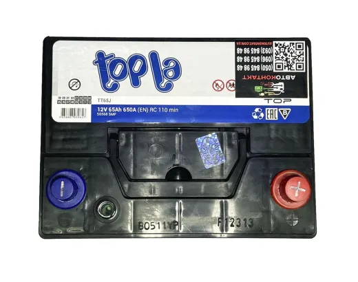 Topla Top Energy Japan 6CT-65 АзЕ (118665)