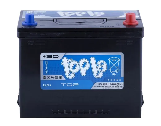 Topla Top Energy Japan 6CT-75 АзE (118875)
