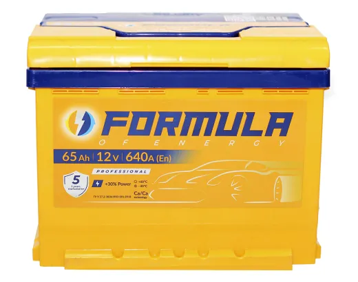 Formula 6-ст 65 АзЕ Professional