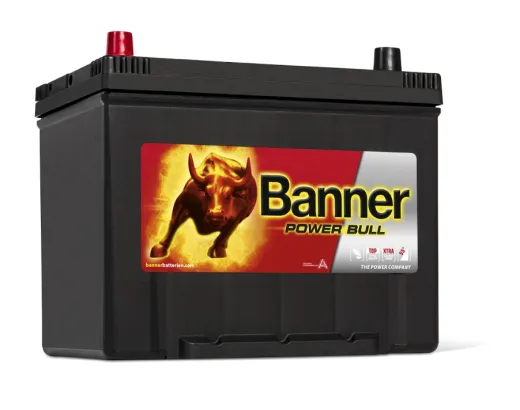 Banner P70 24 12v 70Ah 600A